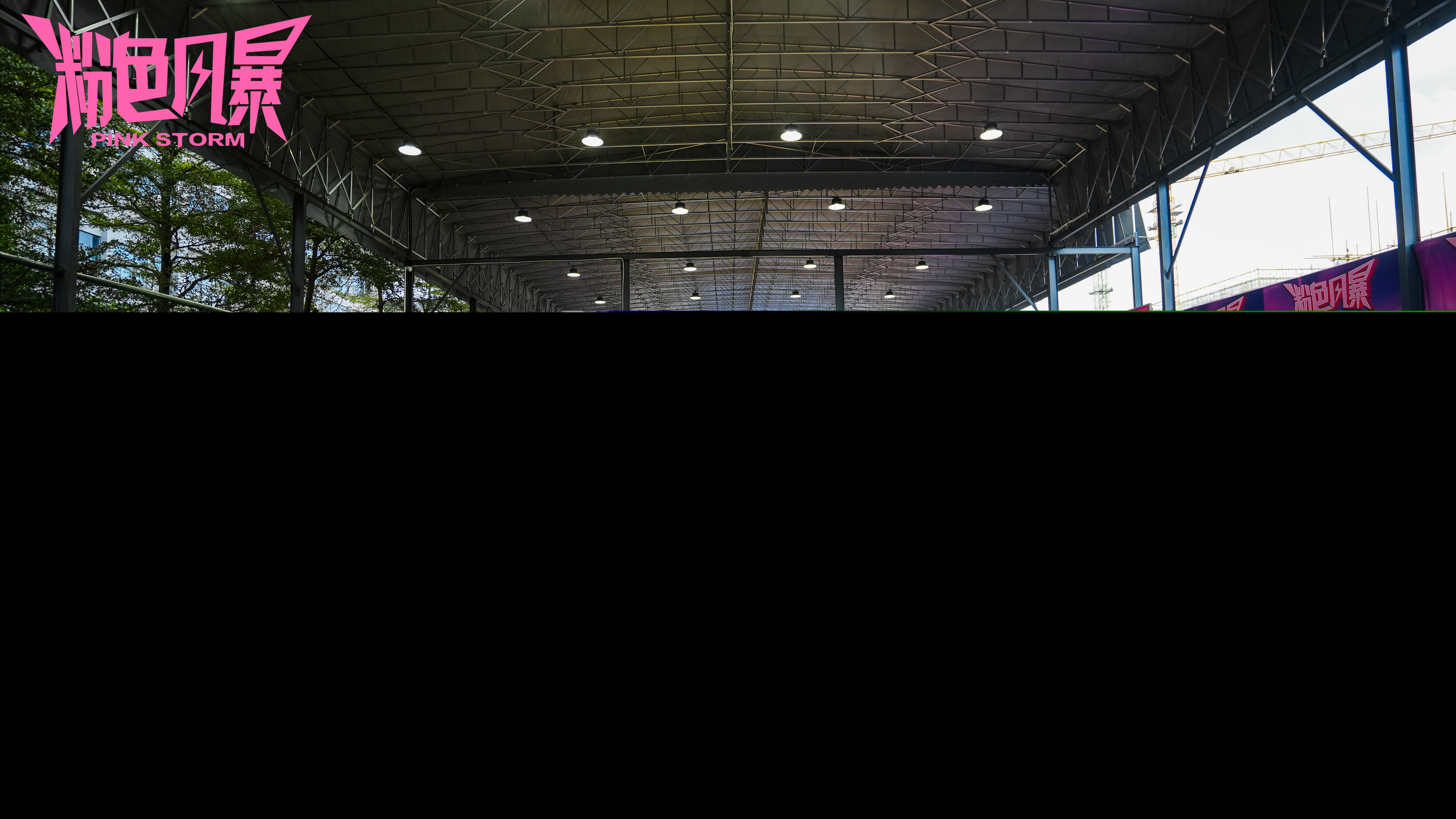 東莞松湖藥港 粉色風(fēng)暴全國女子籃球聯(lián)賽總決賽